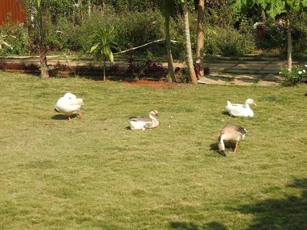 Nature Leap Resort Igatpuri Exterior photo